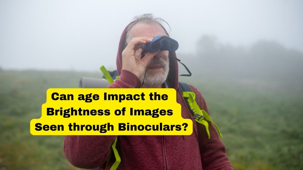 Does age affects image Brigtness in binoculars