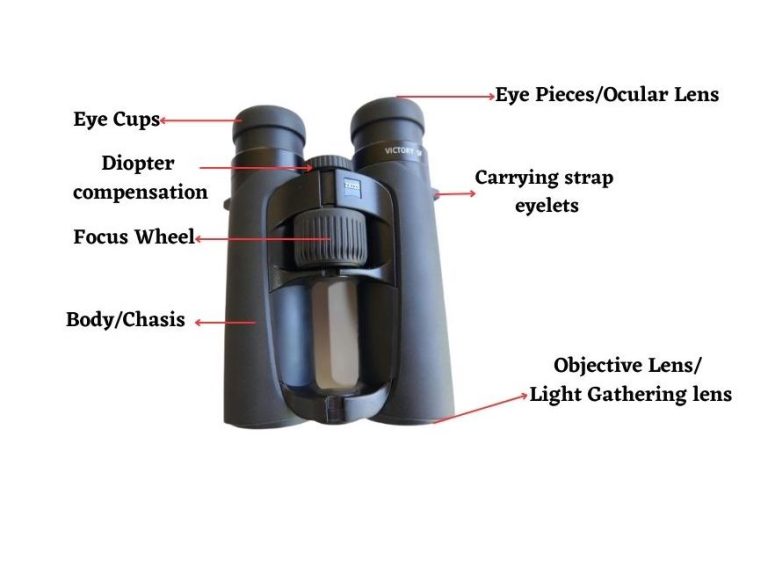 Understanding Binoculars 101 How Do Binoculars Work ? Binoculars Guru