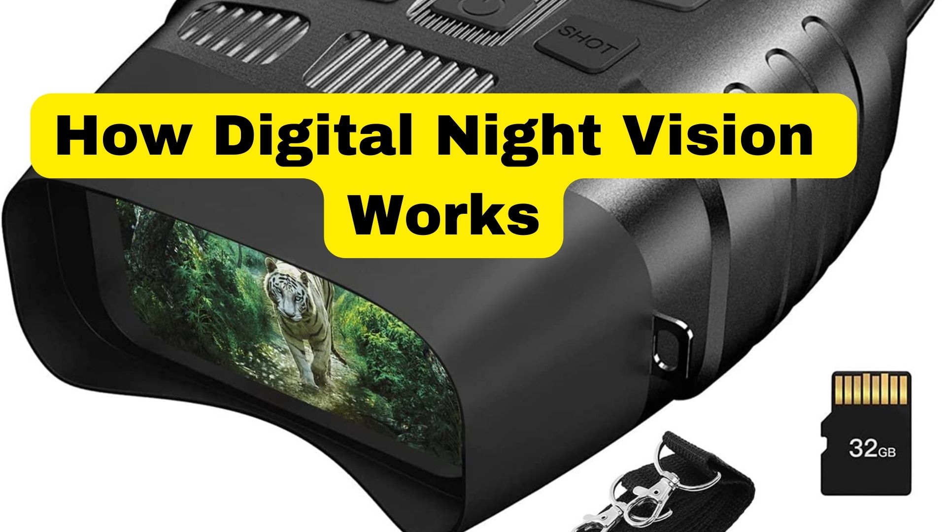 How Digital Night Vision Works? Binoculars Guru