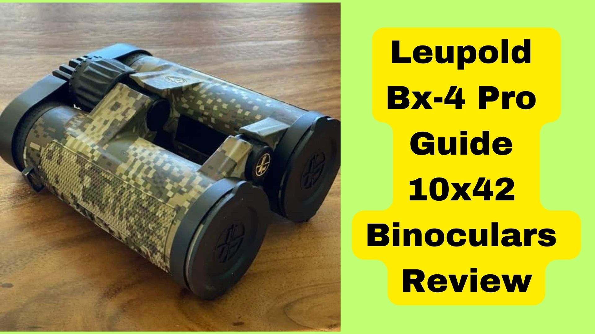 Leupold BX-4 Pro Guide 10x42 Binocuars Review