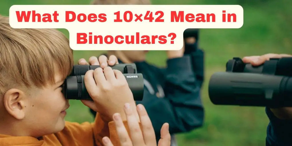 What Does 10×42 Mean in Binoculars?