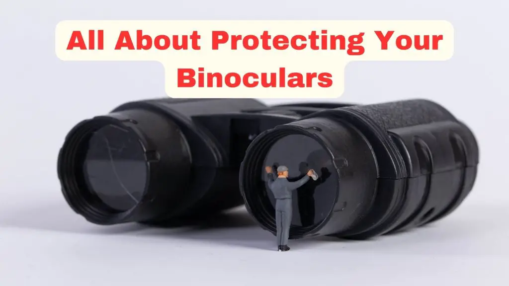 how to protect your binoculars