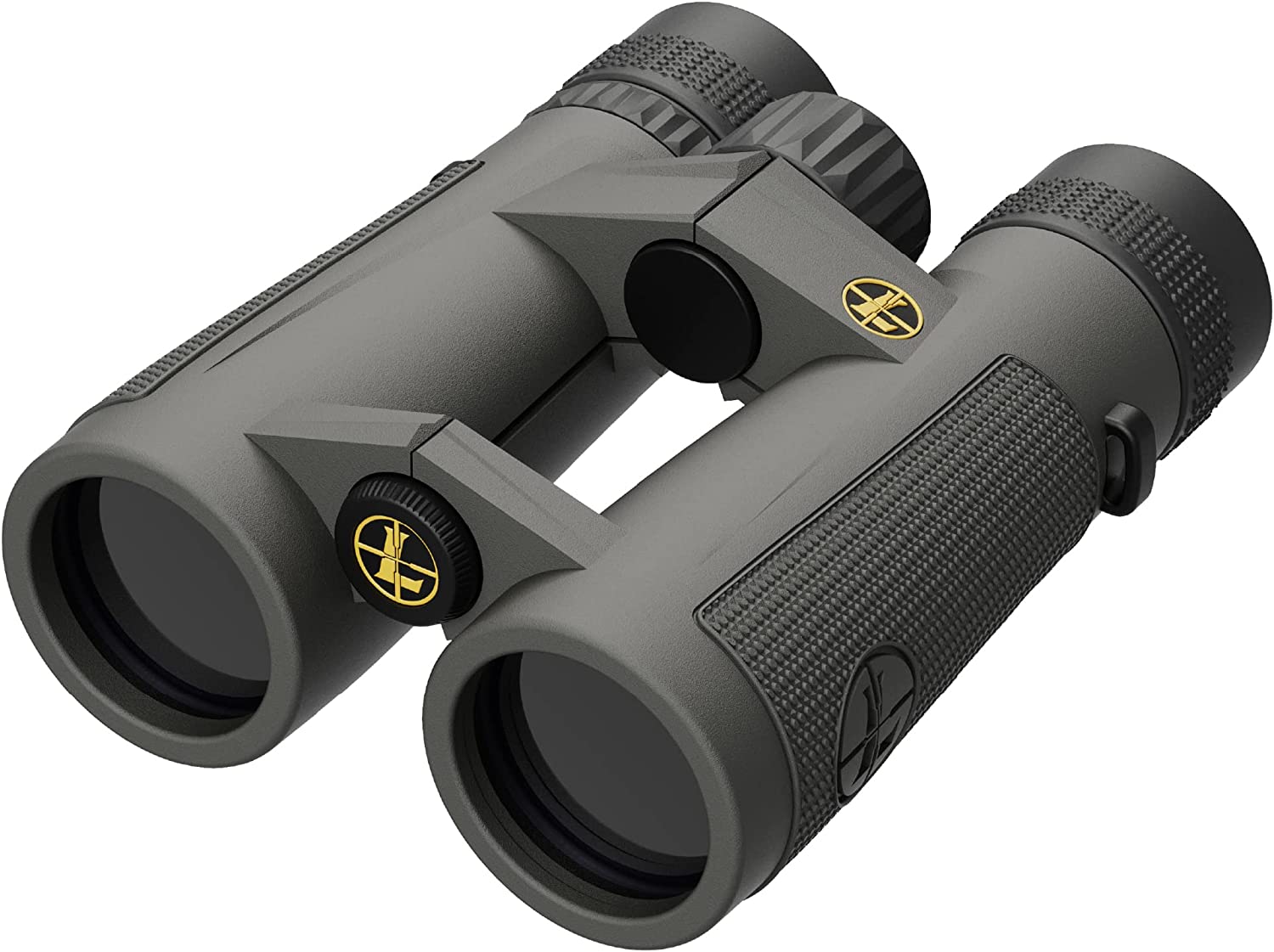 leupold bx-5 santiam