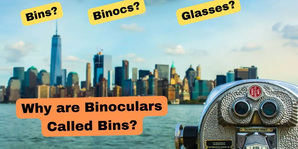 Why are Binoculars Called Bins?