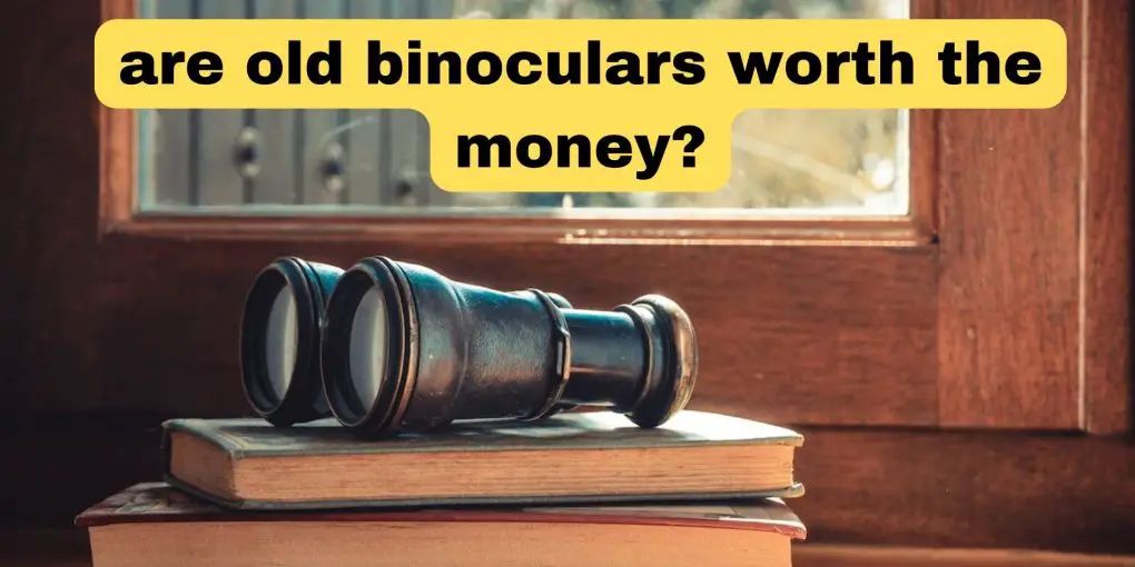 are old binoculars worth the money1