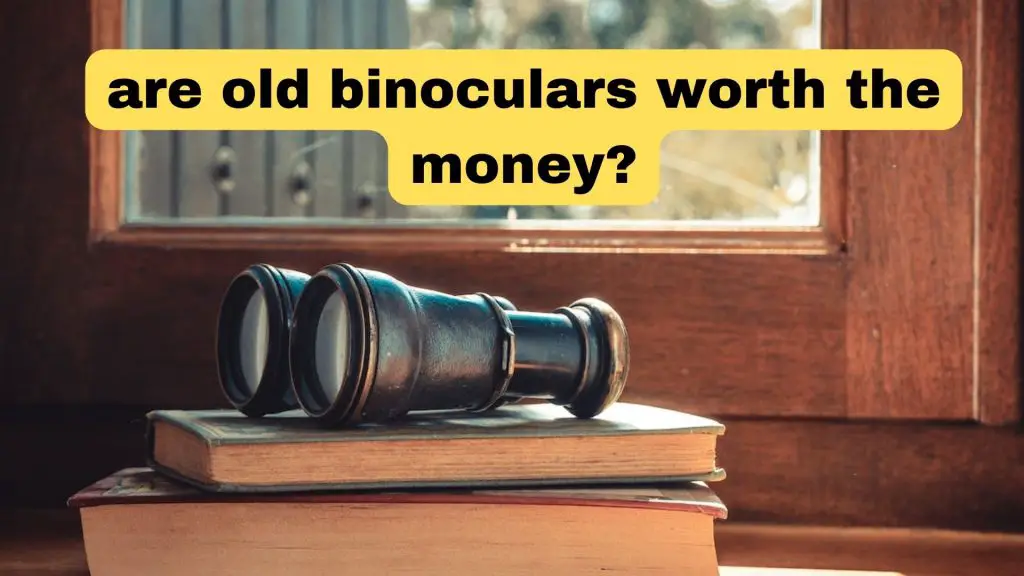 are old binoculars worth the money1