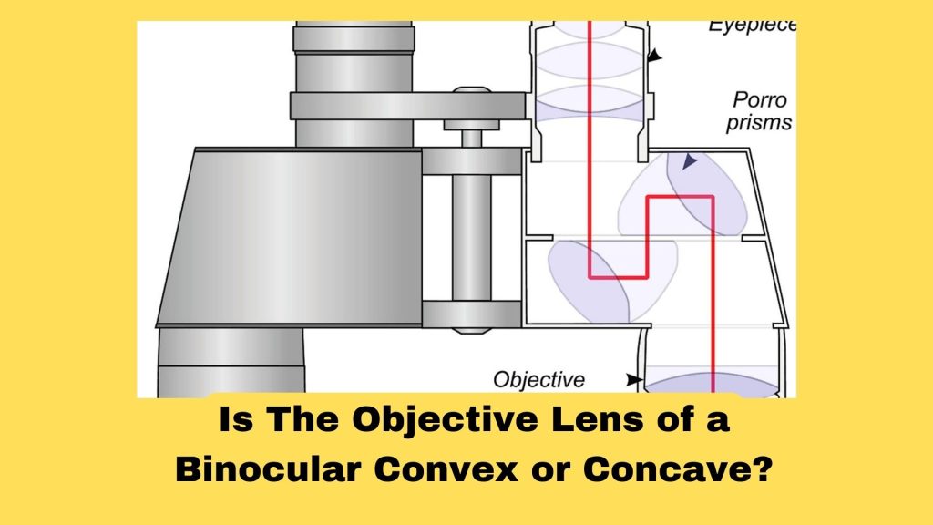 Is The Objective Lens of a Binocular Convex or Concave?