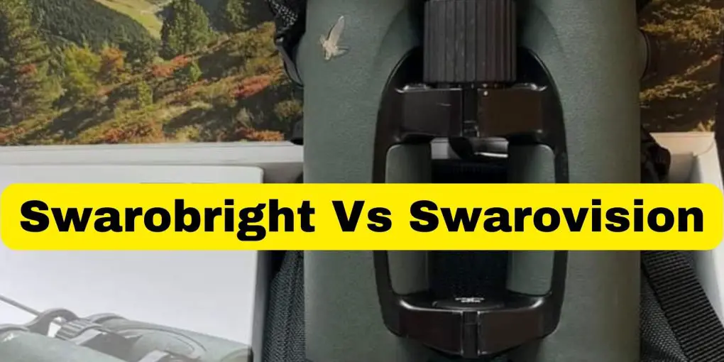 Swarobright Vs Swarovision