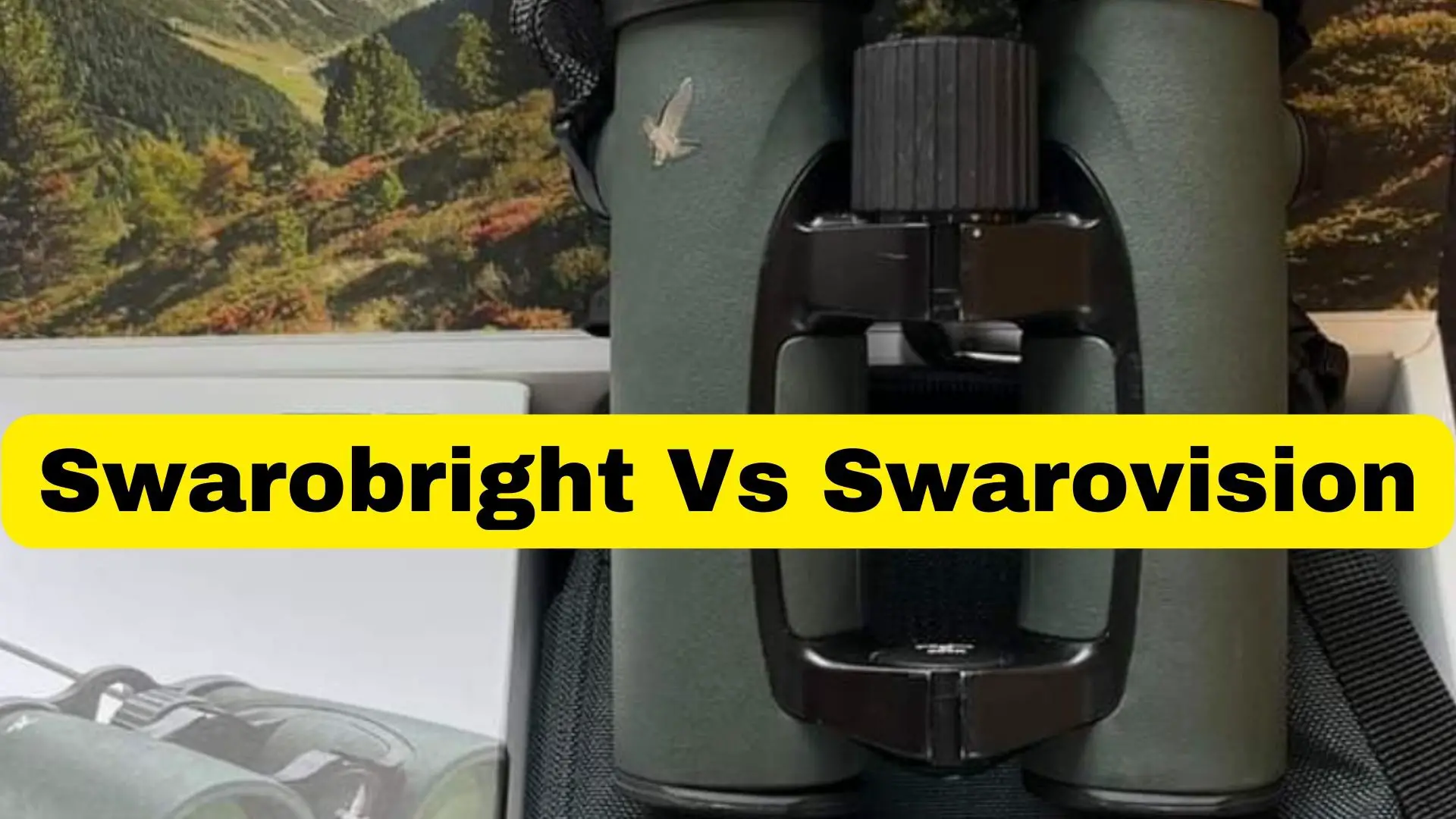 Swarobright Vs Swarovision