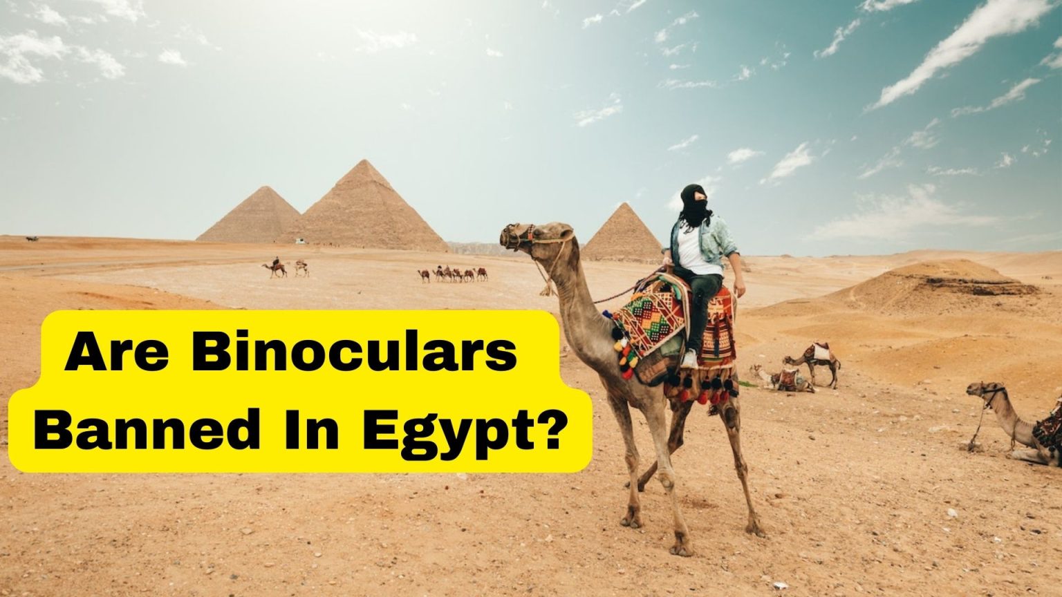 Are Binoculars Allowed in Egypt? Binoculars Guru