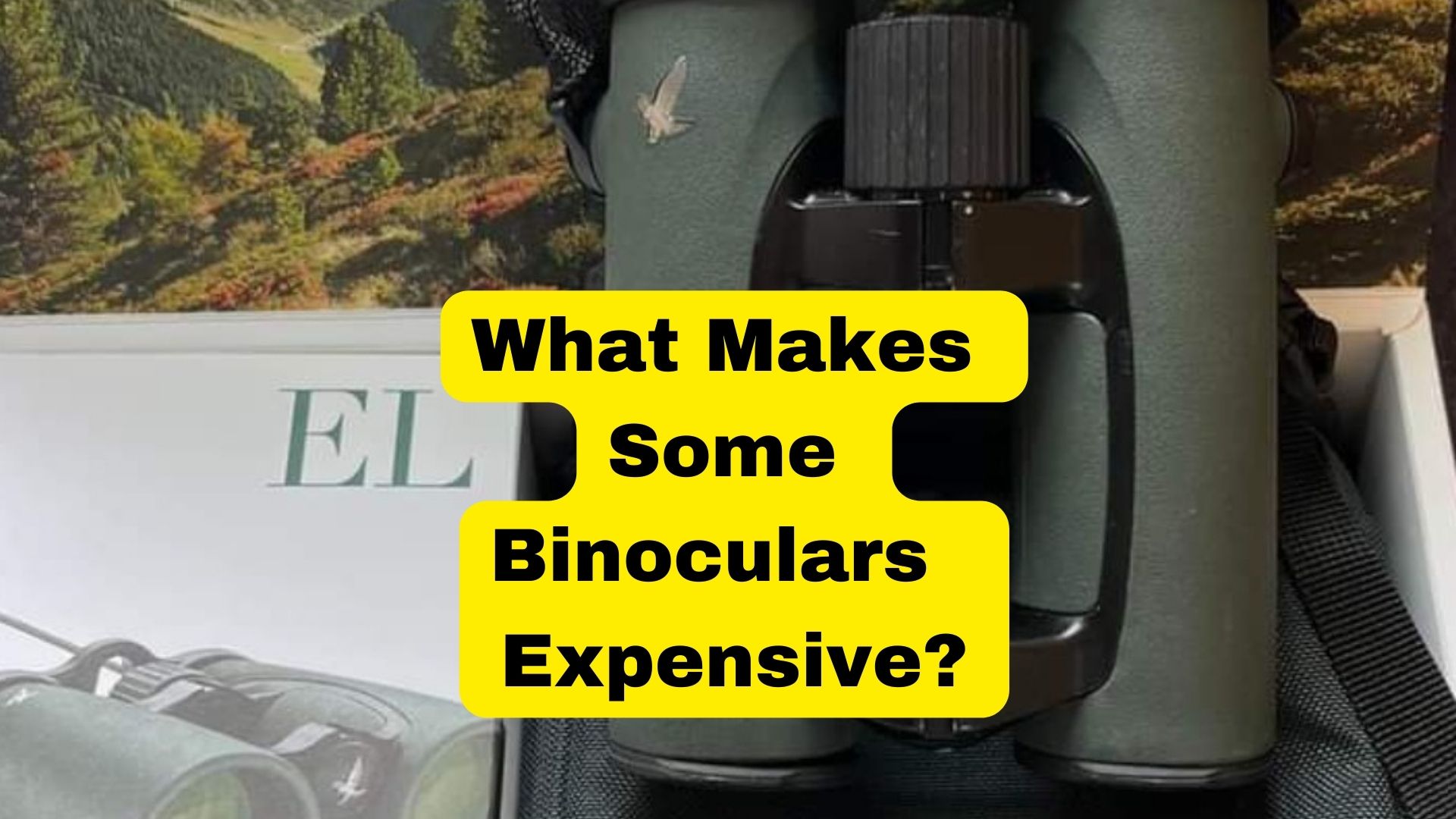Why Are Some Binoculars So Expensive? Binoculars Guru