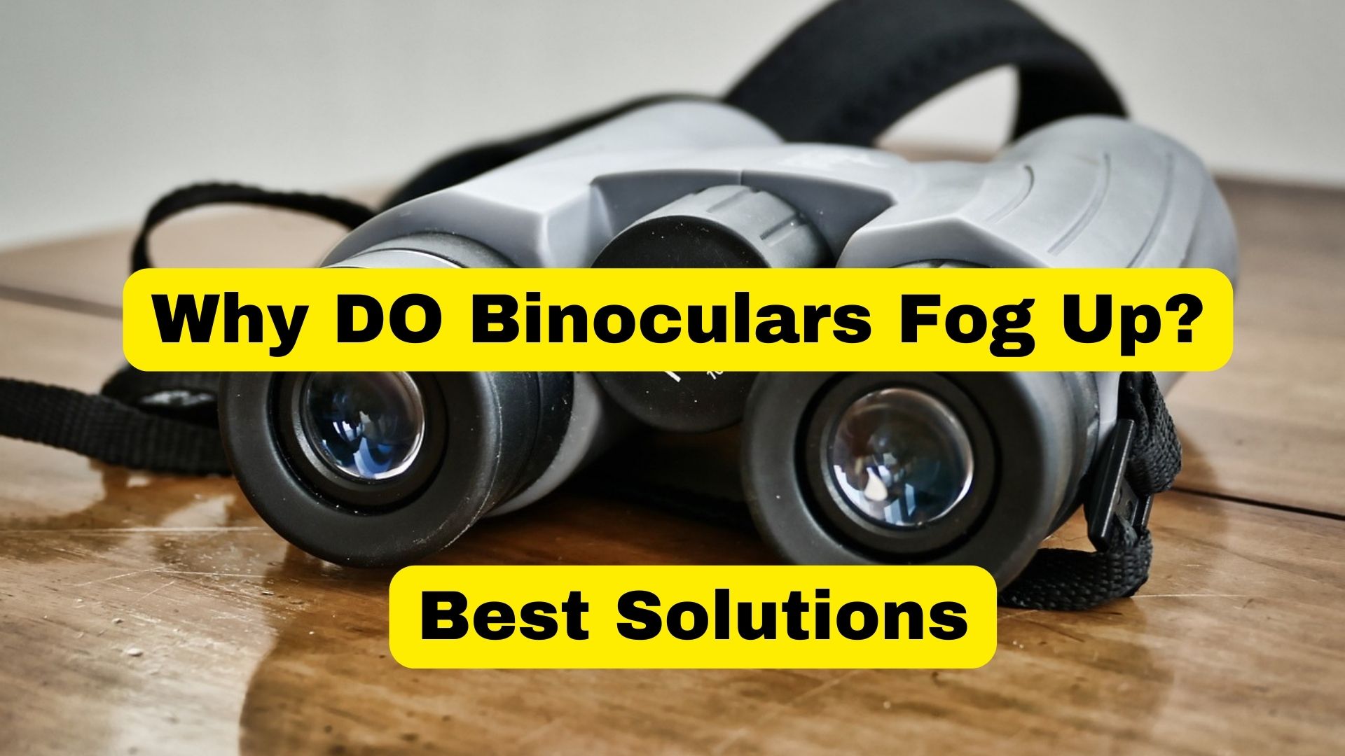Why Do Binoculars Fog Up Best Ways To Avoid Binoculars Guru