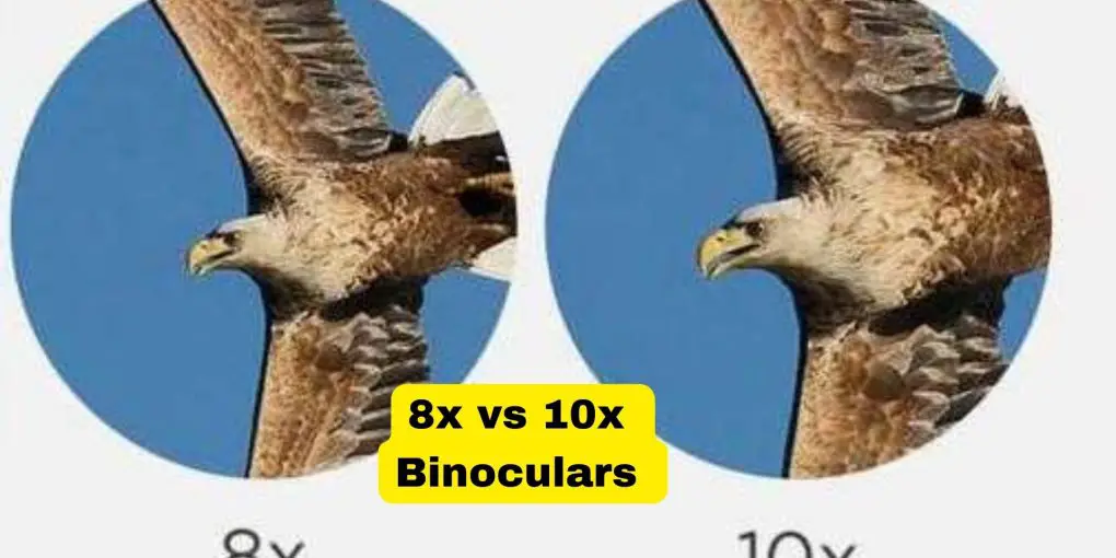 8x-vs-10x-binoculars