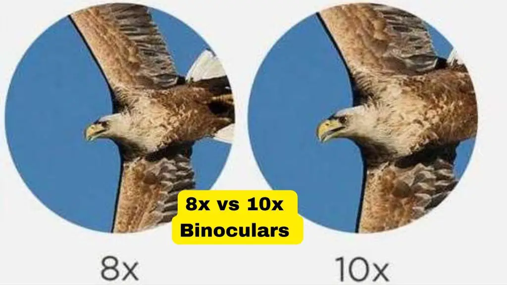 8x-vs-10x-binoculars
